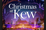 Kew Ward Christmas Party