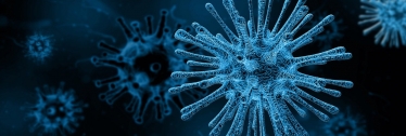 Coronavirus Image